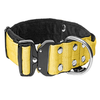 Extreme Buckle Baby Amarillo - Collar fuerte y seguro
