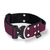 Extreme Buckle Plum - Collar fuerte y seguro