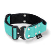 Extreme Buckle Mint - Collar fuerte y seguro