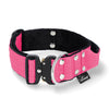 Extreme Buckle Pink - Collar fuerte y seguro