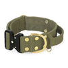 Extreme Buckle Golden Khaki - Collar fuerte y seguro