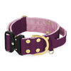 Extreme Buckle Golden Plum - Collar fuerte y seguro