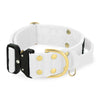 Extreme Buckle Golden White - Collar fuerte y seguro