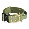 Extreme Buckle Golden Olive Green - Collar fuerte y seguro
