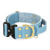 Extreme Buckle Golden Baby Blue - Collar fuerte y seguro