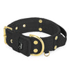 Grip Golden Black - Collar ancho acolchado con asa