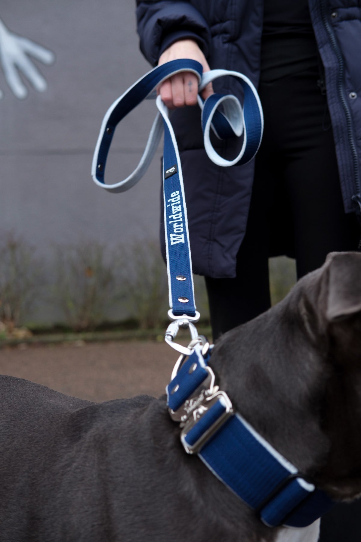 Dog leash with name