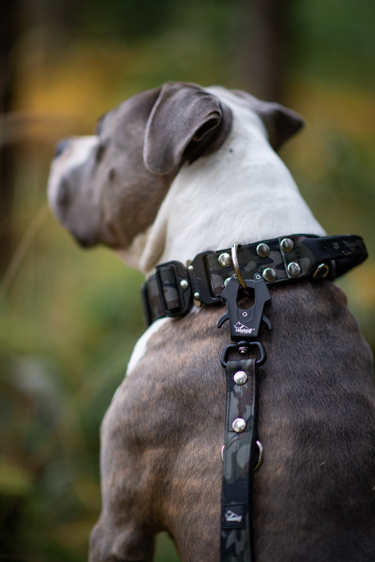 Guard Leash Camo Black - Guard leash with extra handle
