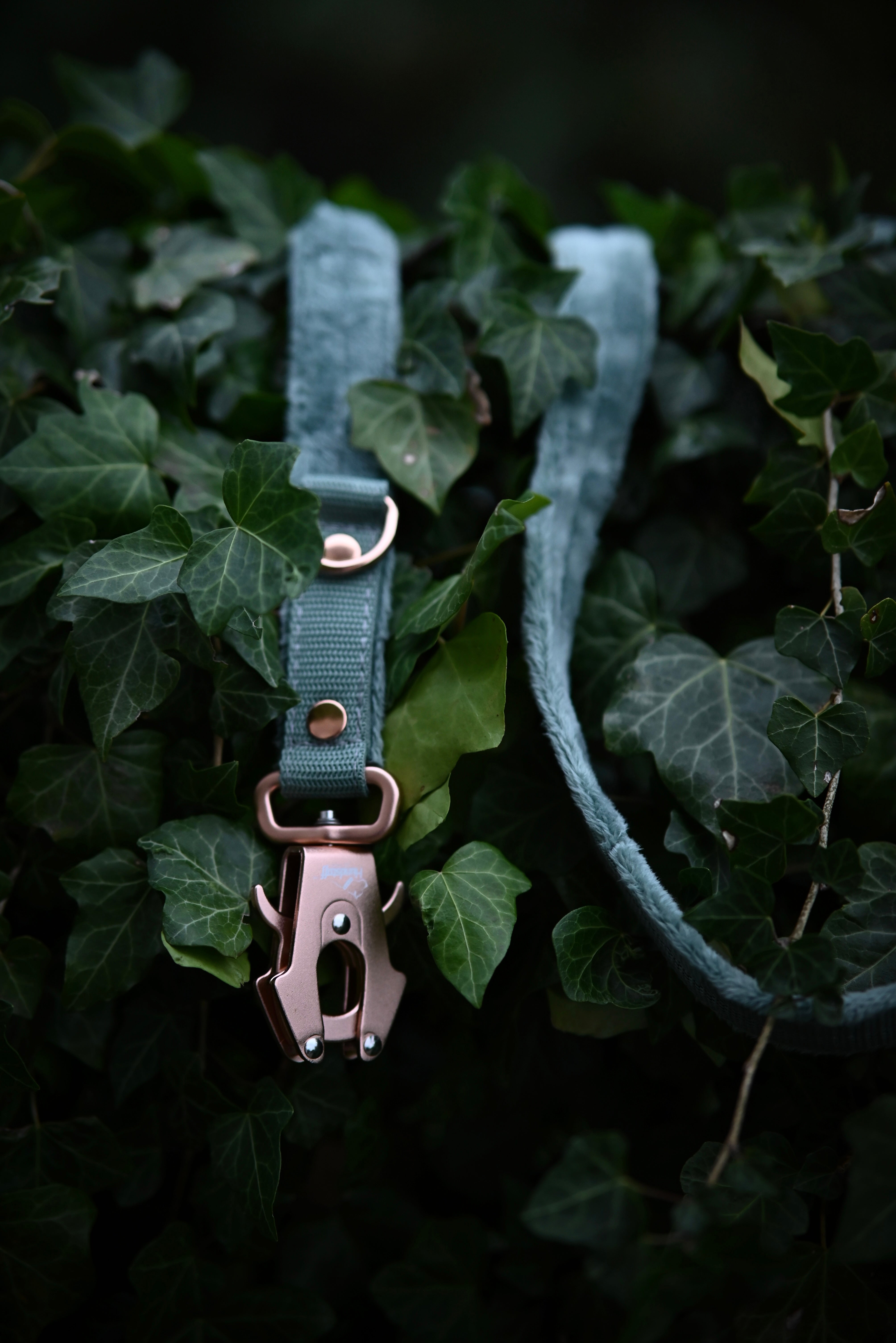 Walk Leash Rose Edition Pastel Green - Safe nylon leash in different lengths