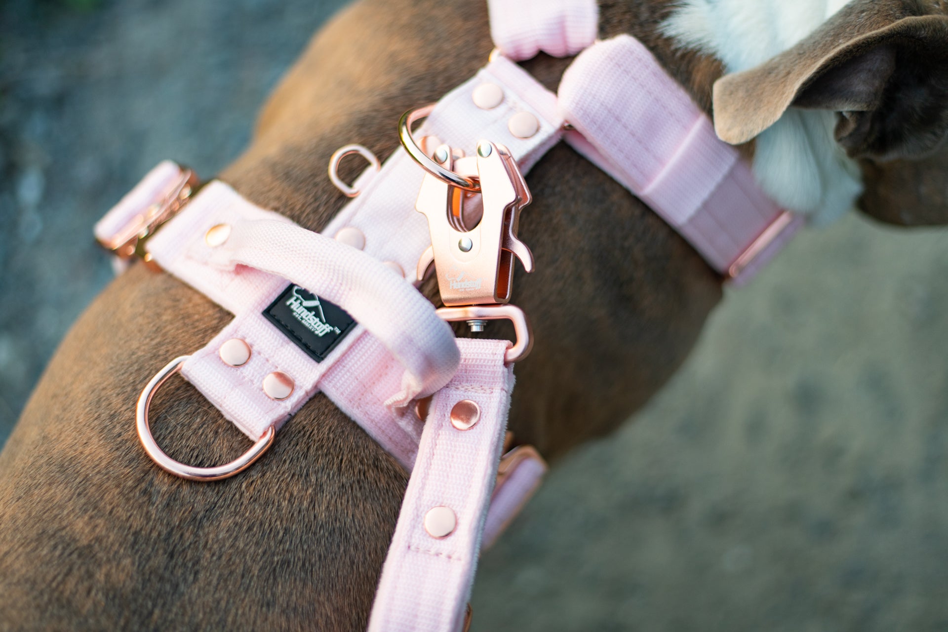 Guard Leash Rose Edition Pastel Pink - Guard leash with extra handle
