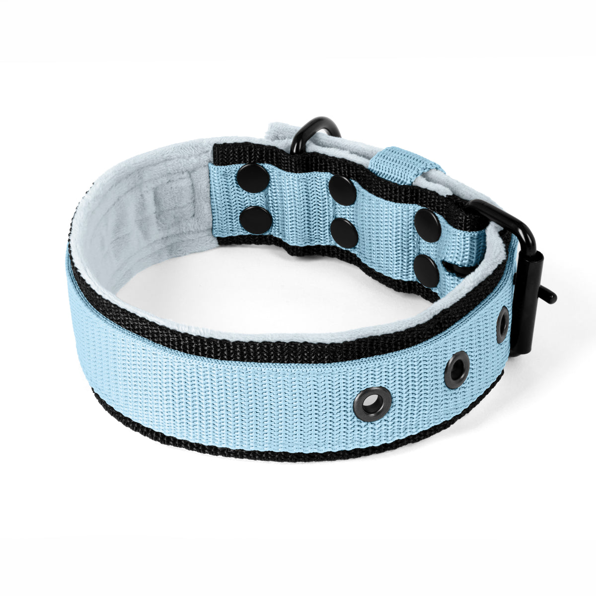 Active Comfort Black Edition Baby Blue - Wide durable collar with buckle