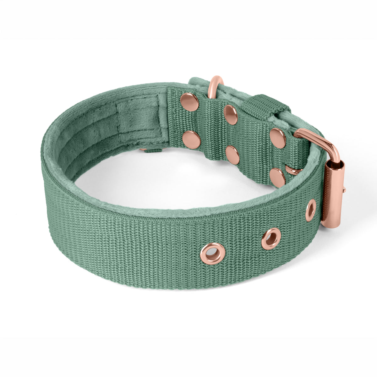 SALE Active Komfort Rose Edition Verde pastello, Taglia 55, larghezza 5 cm