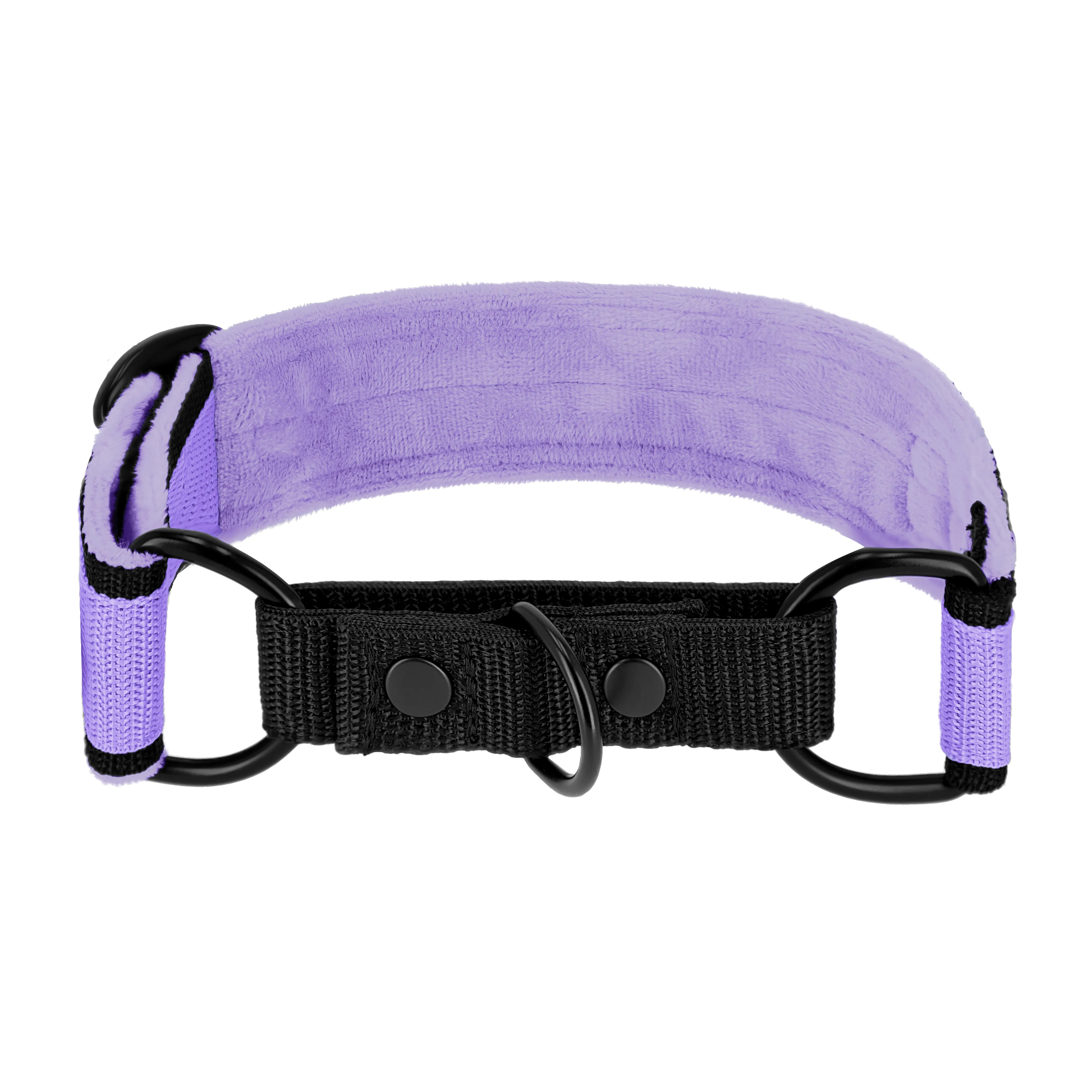 Martingale Black Edition Baby Purple - Wide lined collar half choke