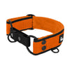 Martingale Black Edition Orange - Wide lined collar half choke