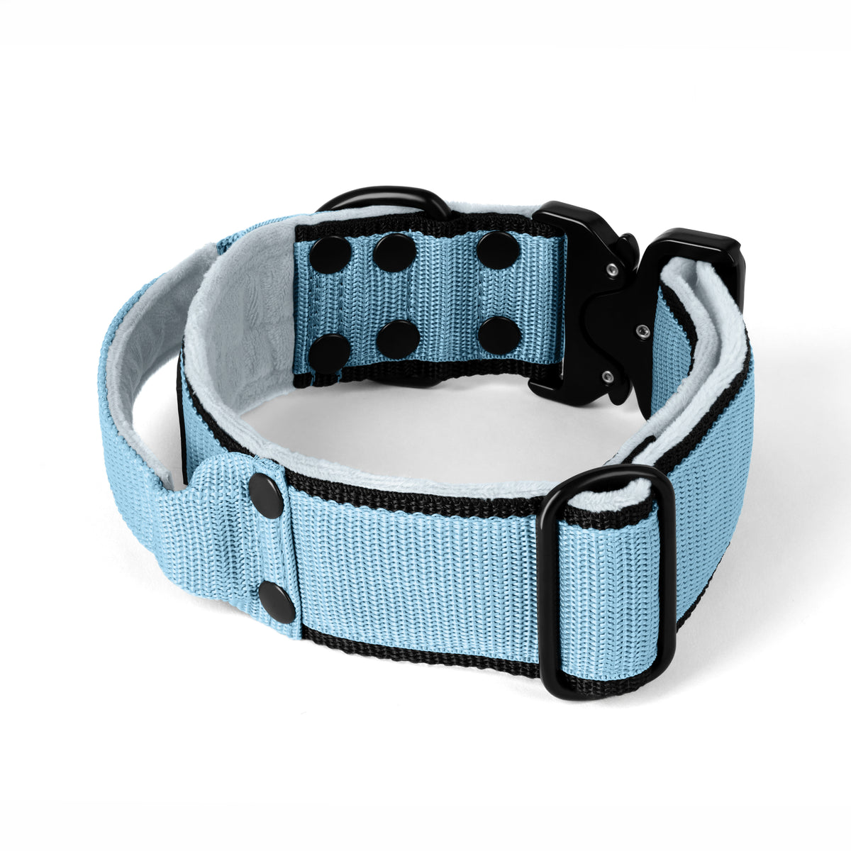 Extreme Buckle Black Edition Baby Blue - Strong and secure collar