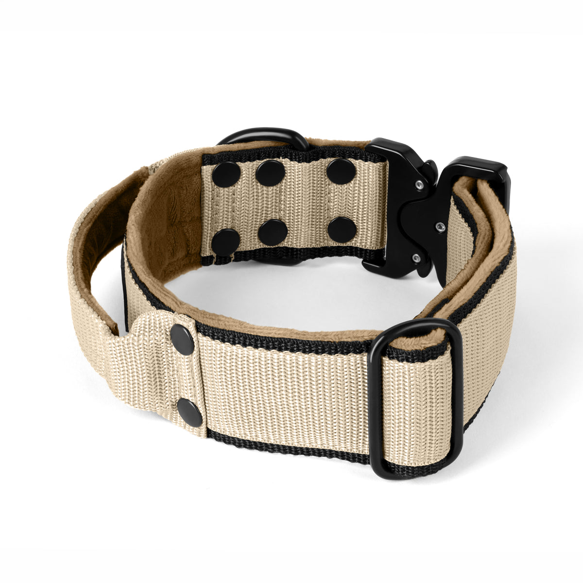 Extreme Buckle Black Edition Beige - Strong and secure collar