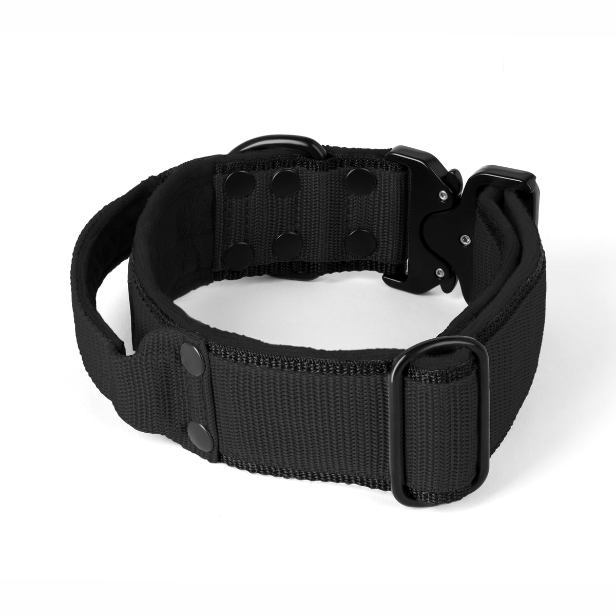 Extreme Buckle Black Edition Black - Strong and secure collar