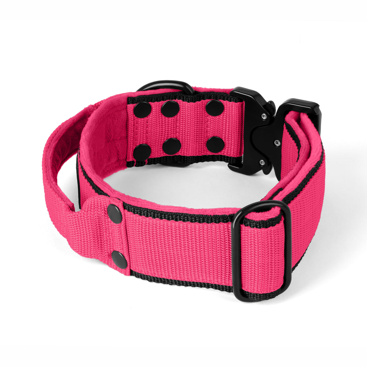 Extreme Buckle Black Edition Pink - Strong and secure collar