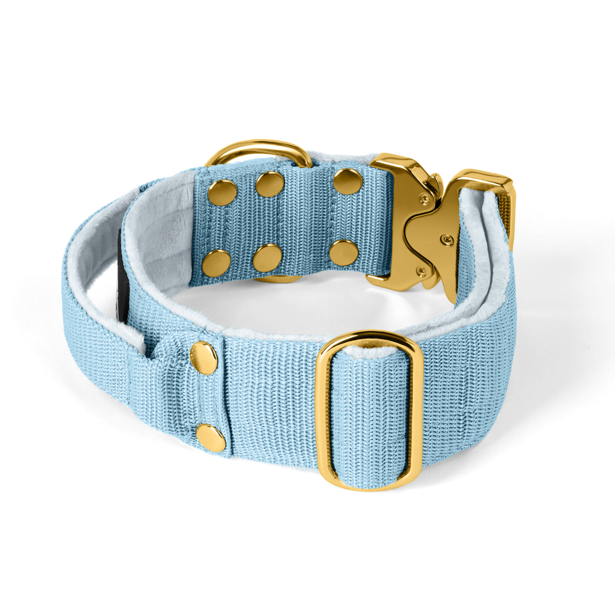 Extreme Gold Buckle Baby Blue - Collana robusta e sicura