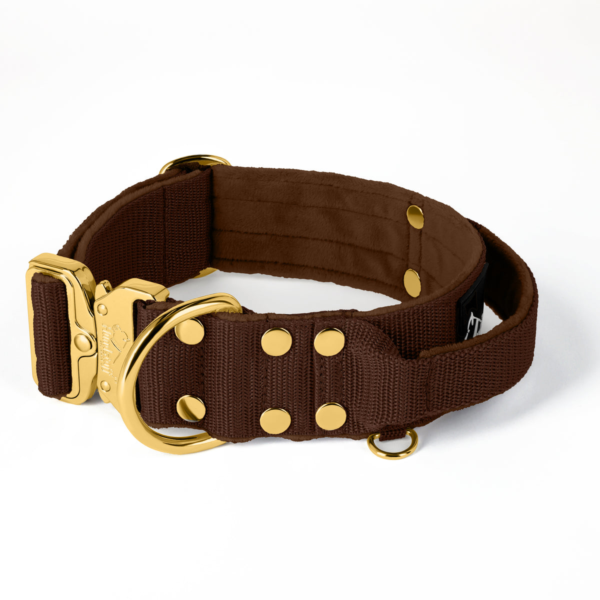 Extreme Gold Buckle Dark Brown - Strong and secure collar