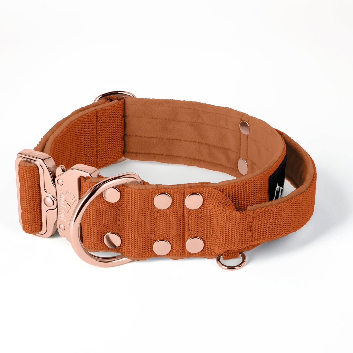 Extreme Rose Buckle Grey - Strong and secure collar