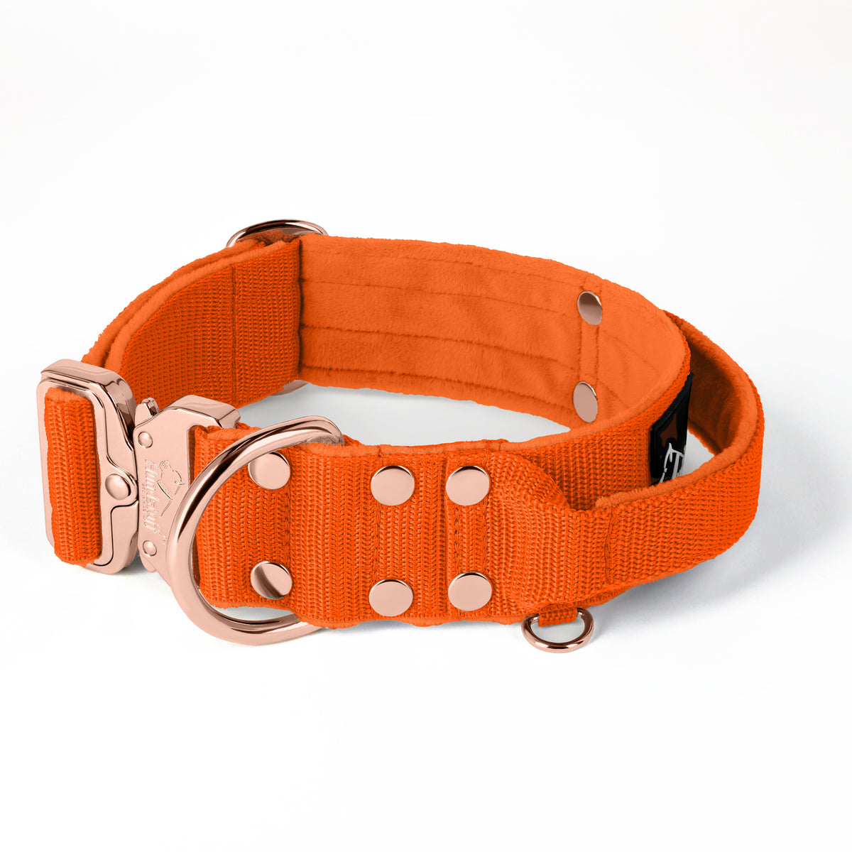 Extreme Rose Buckle Grey - Strong and secure collar