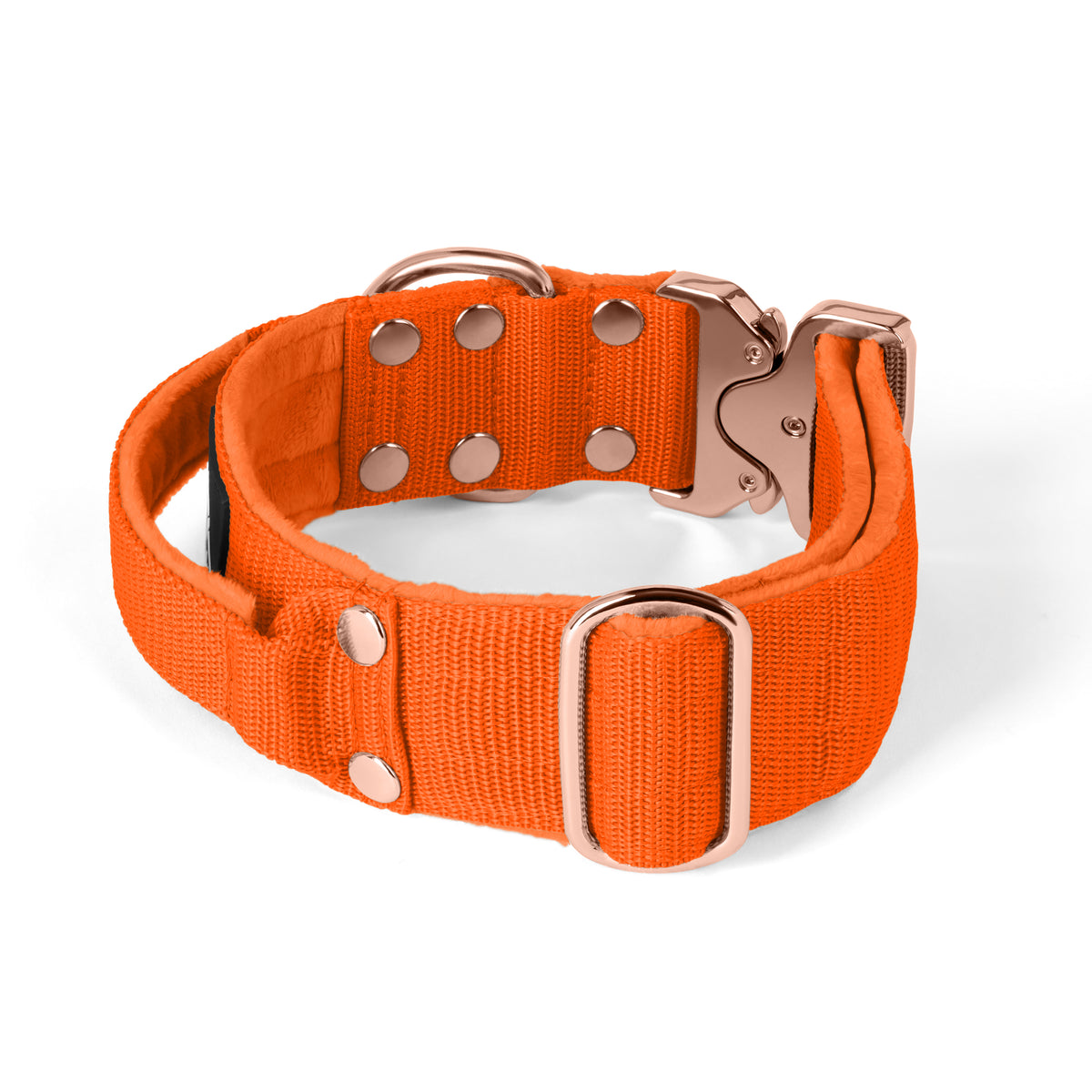 Extreme Rose Buckle Grey - Strong and secure collar