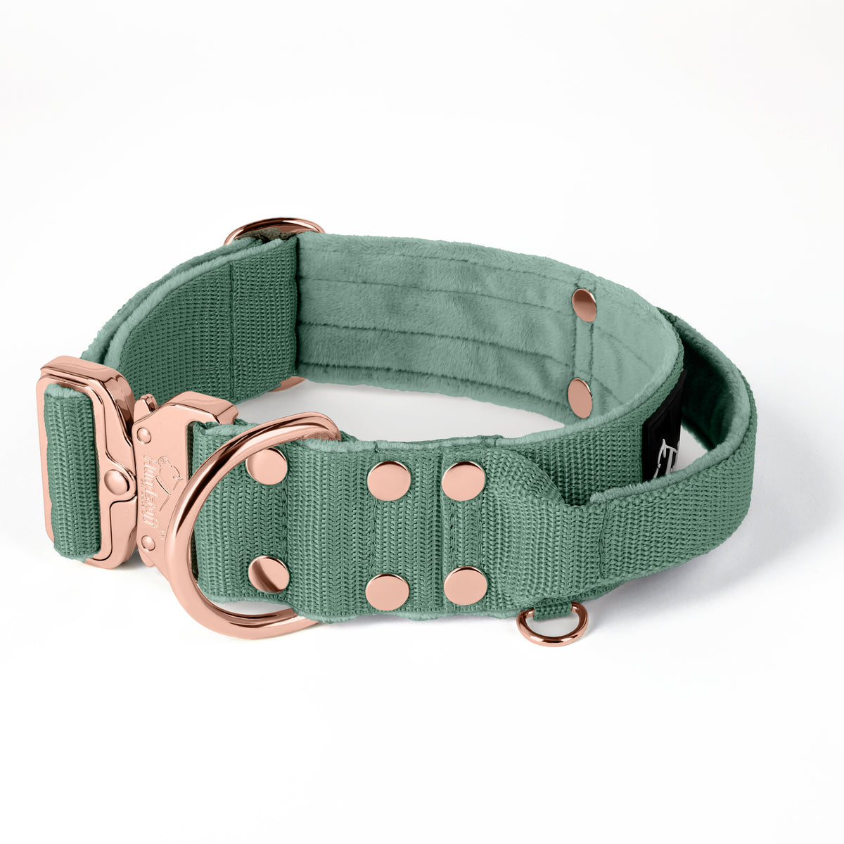 SALE Extreme Rose Gesp Pastel Groen, Maat L, Breedte 4 cm, Met handvat