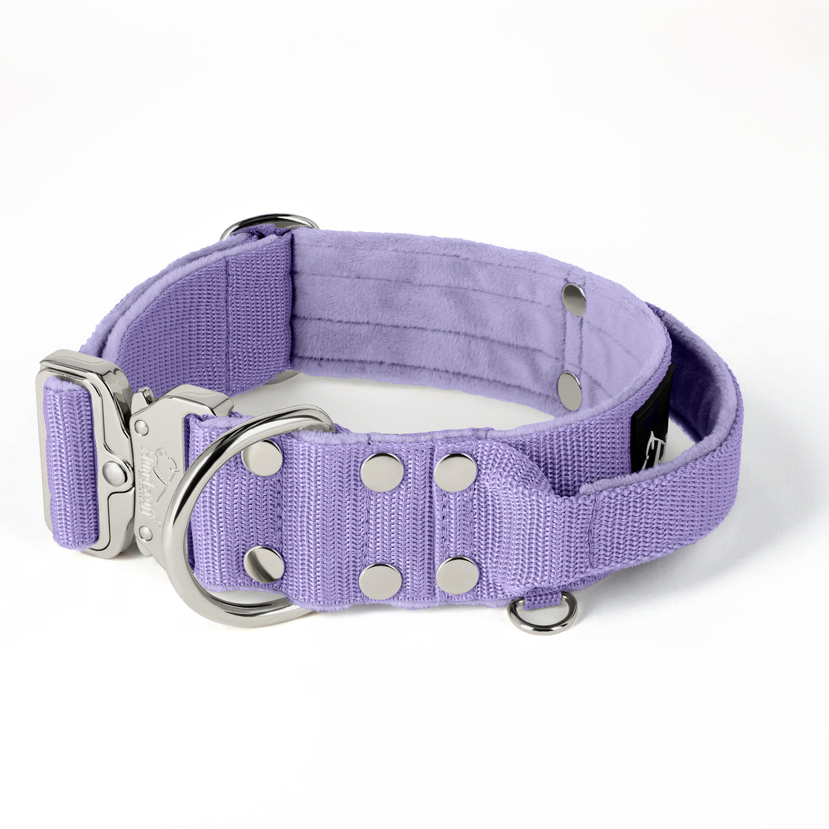 Extreme Silver Buckle Baby Purple - Strong and secure collar