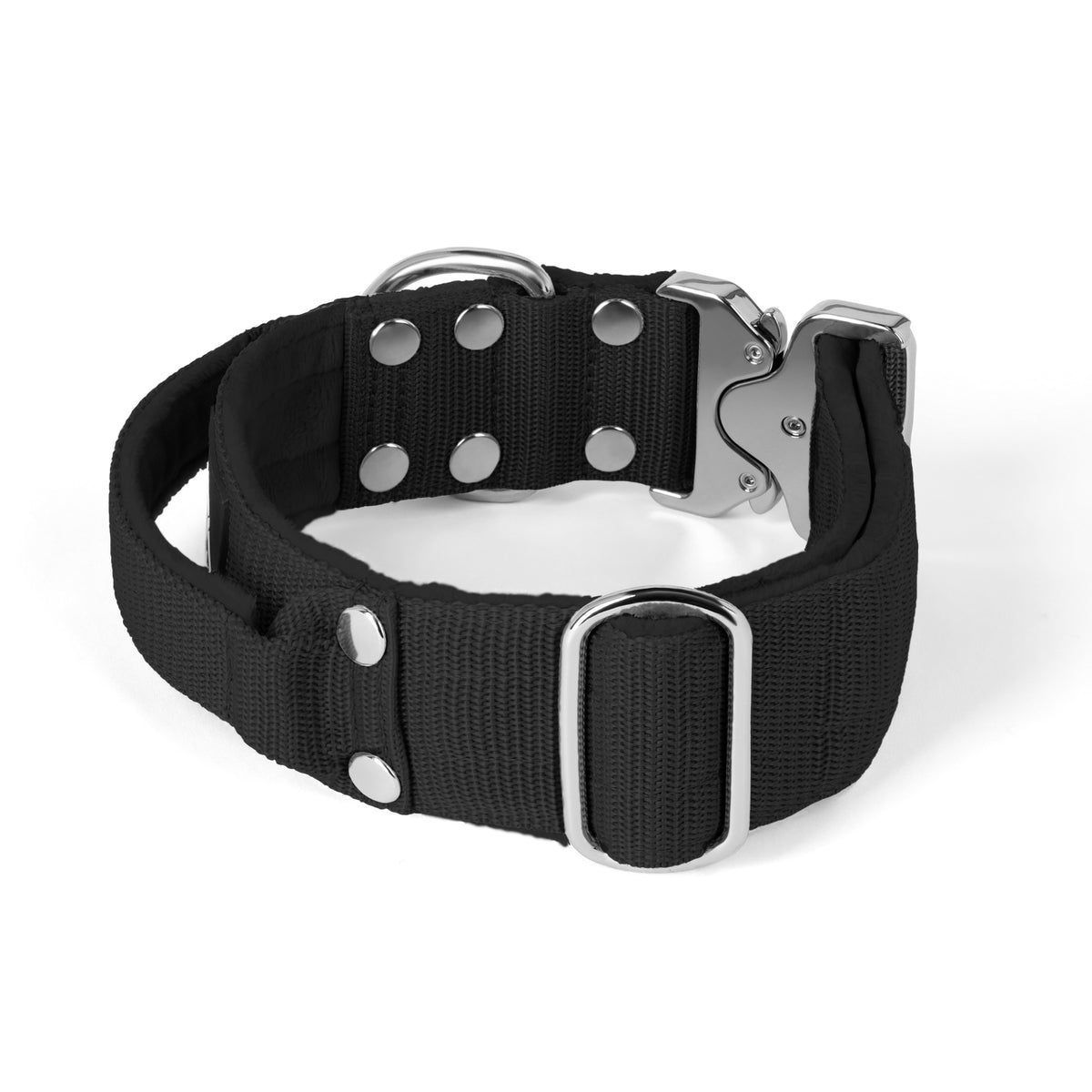 Extreme Silver Buckle Black - Strong and secure collar