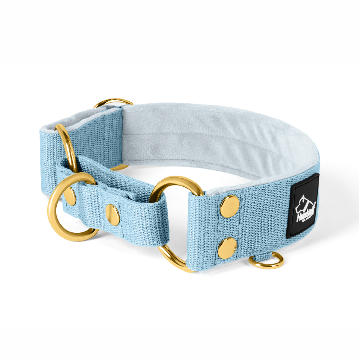 Martingale Golden Baby Blue - Wide lined collar half choke