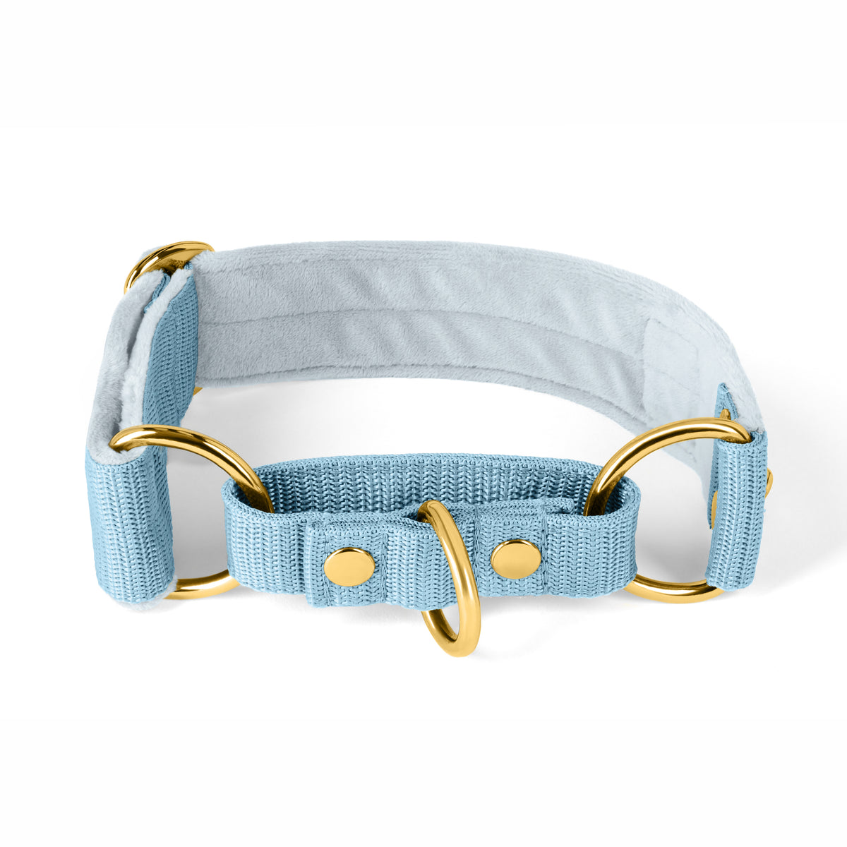 Martingale Golden Baby Blue - Wide lined collar half choke