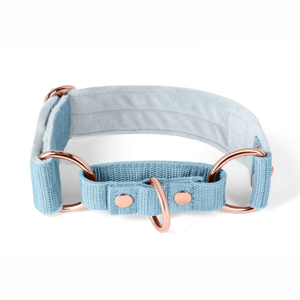 Martingale Rose Edition Pink - Wide lined half choker collar