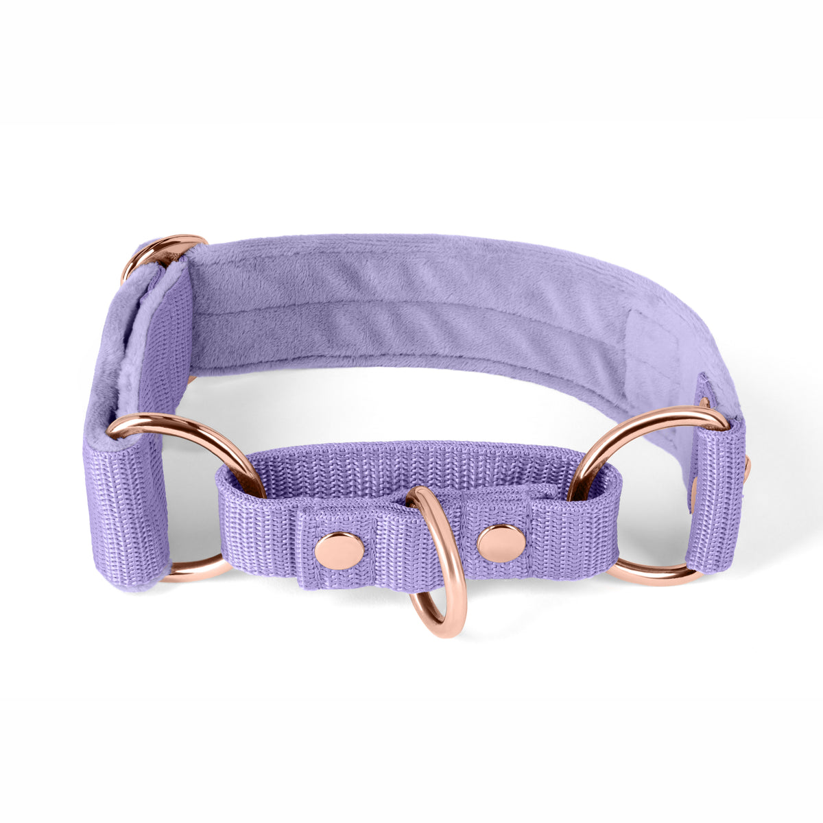 Martingale Rose Edition Pink - Wide lined half choker collar
