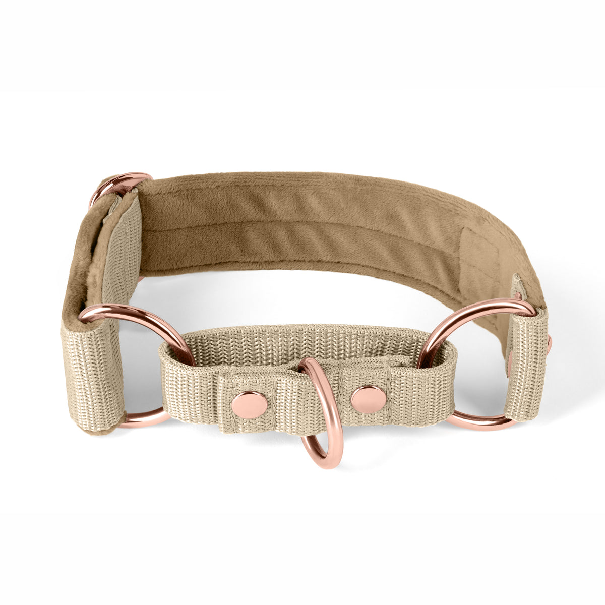 Martingale Rose Edition Pink - Wide lined half choker collar