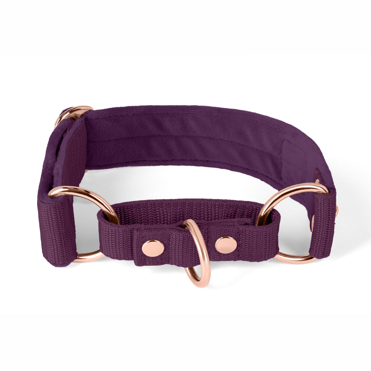 Martingale Rose Edition Plum - Wide lined half choker collar