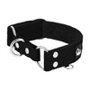 Martingale Black - Wide lined collar half choke