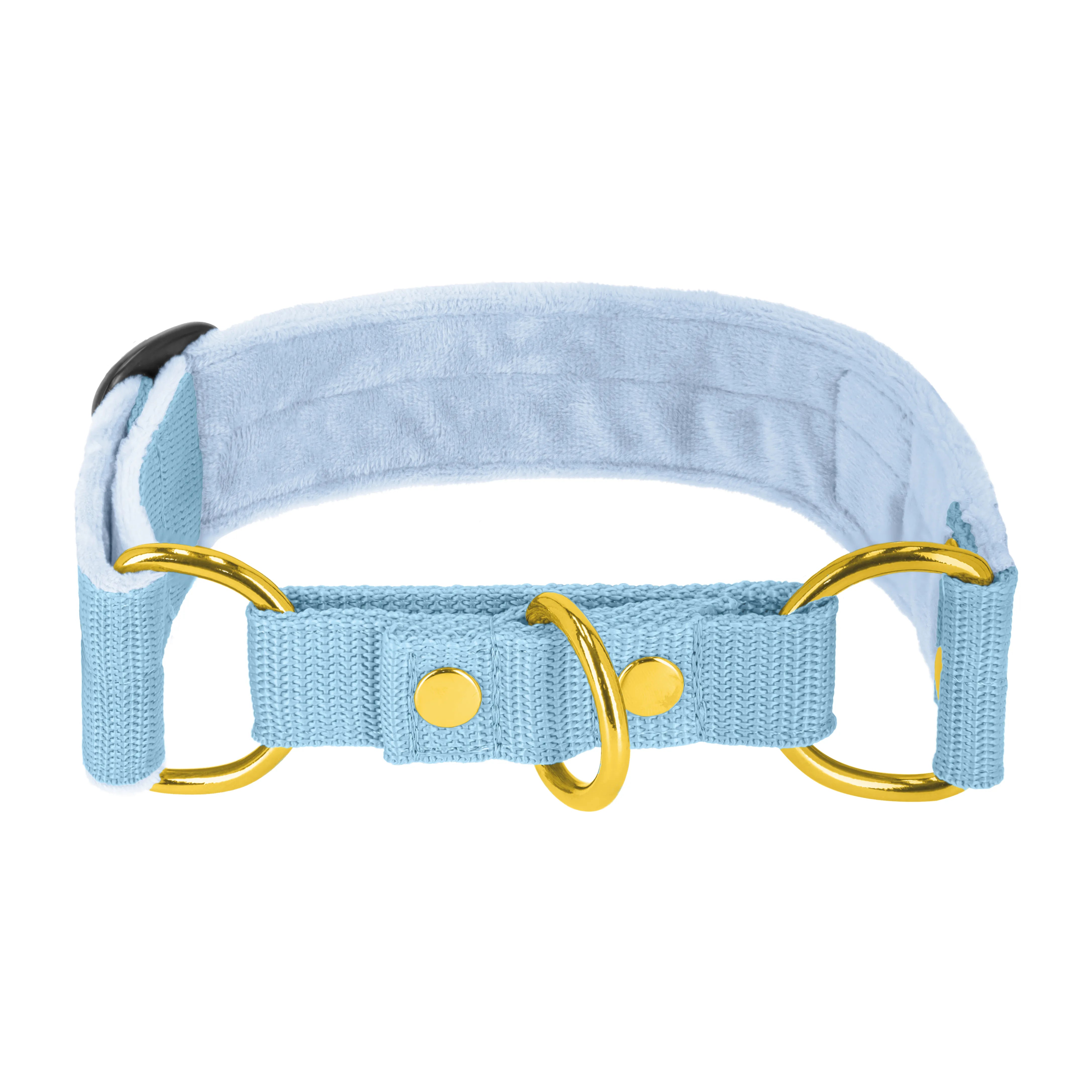 Martingale Golden Baby Blue - Wide lined collar half choke
