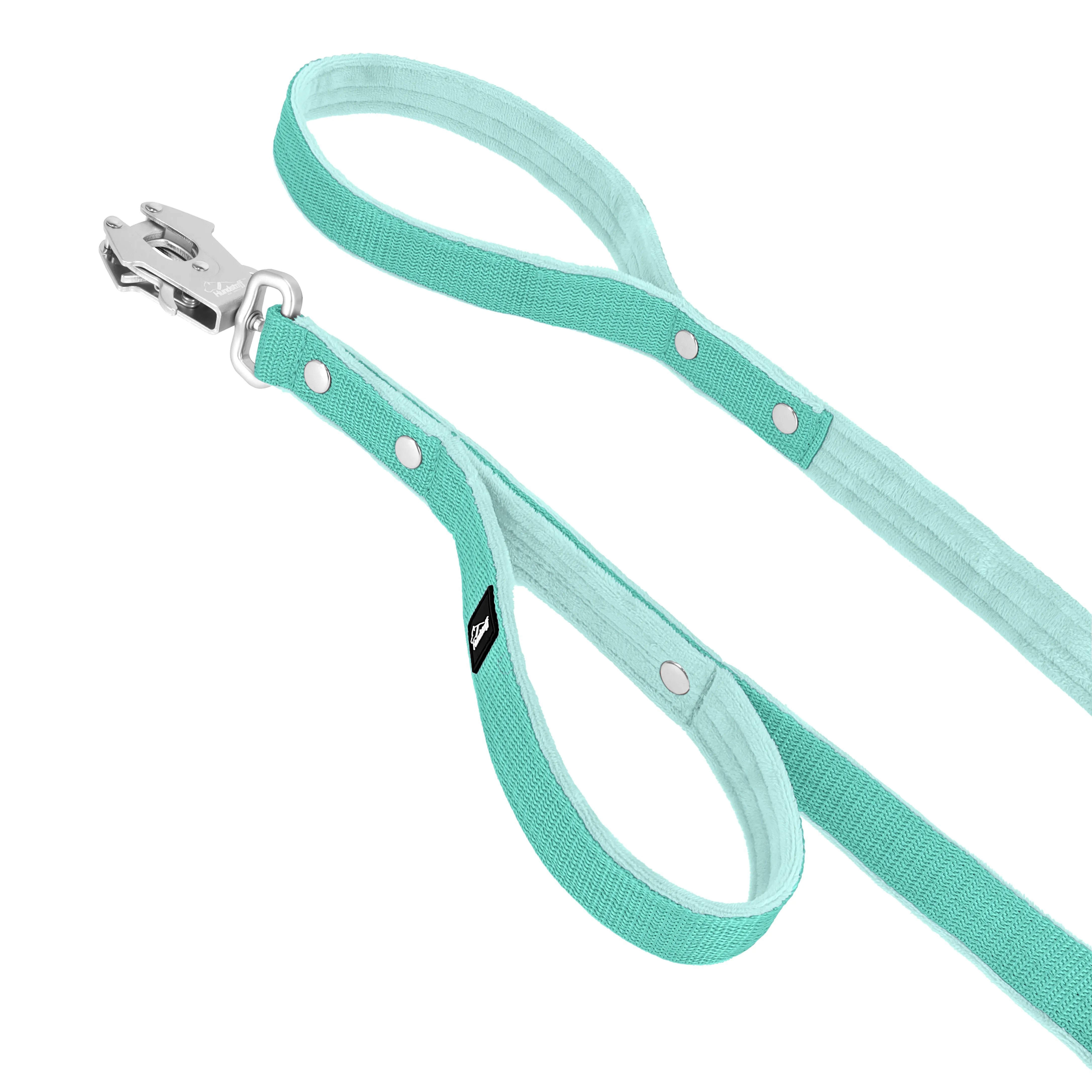 Guard Leash Mint - Guard leash with extra handle