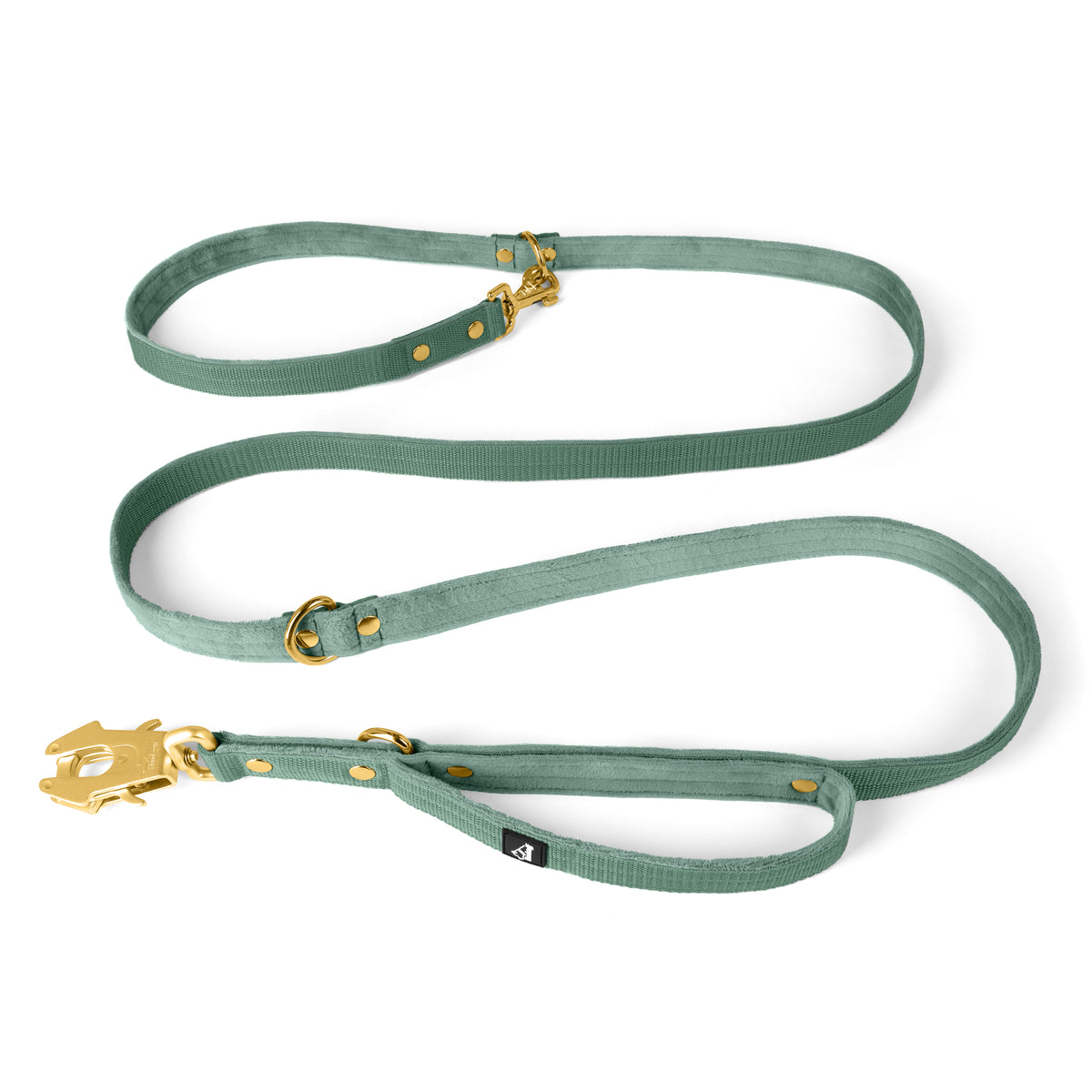 Multi Guard Leash Golden Plum - Multi guard leash