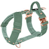 Easy Walk Extreme Rose Verde Pastel - Arnés con hebilla de cierre rápido