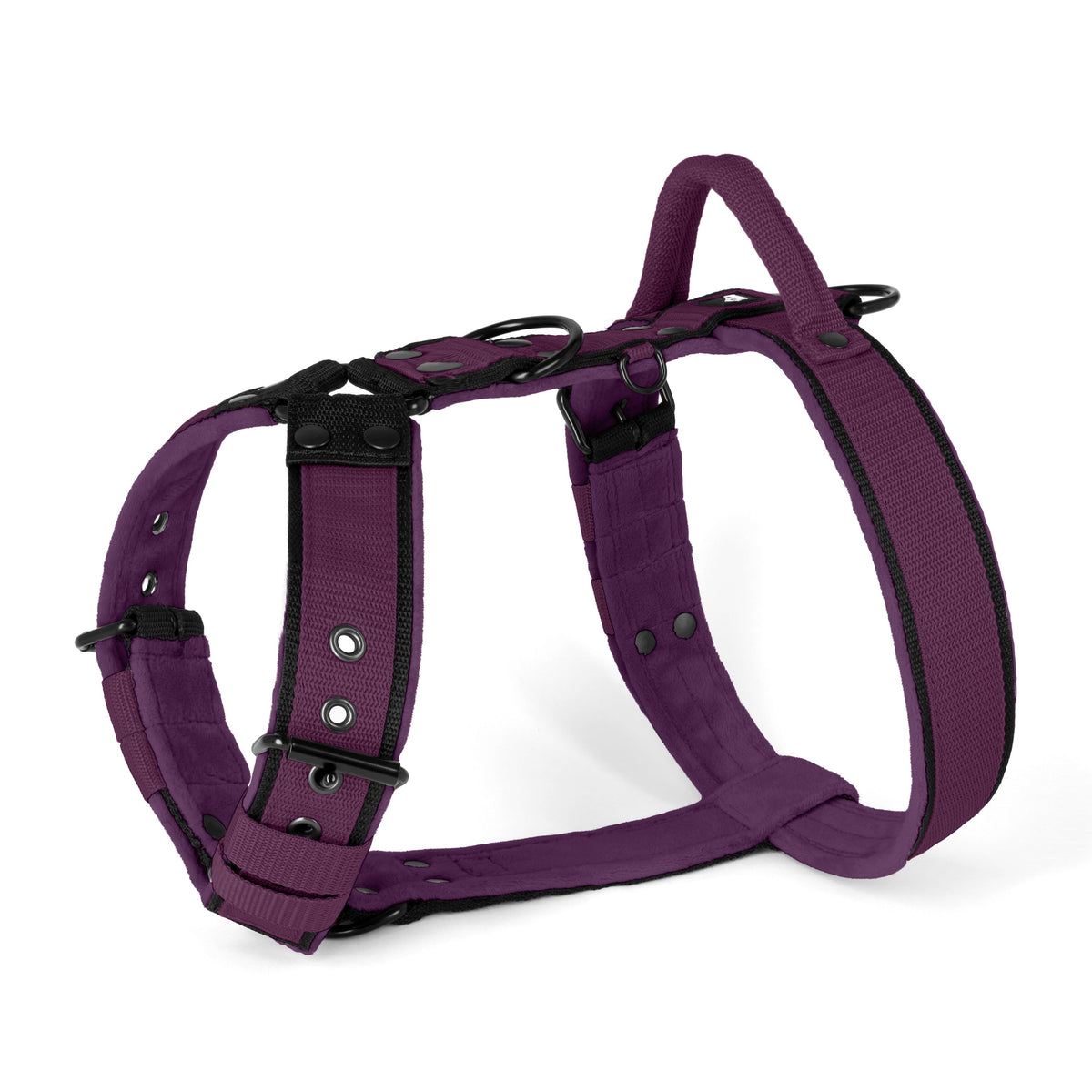 Hundstaff Easy Walk Black Edition Plum