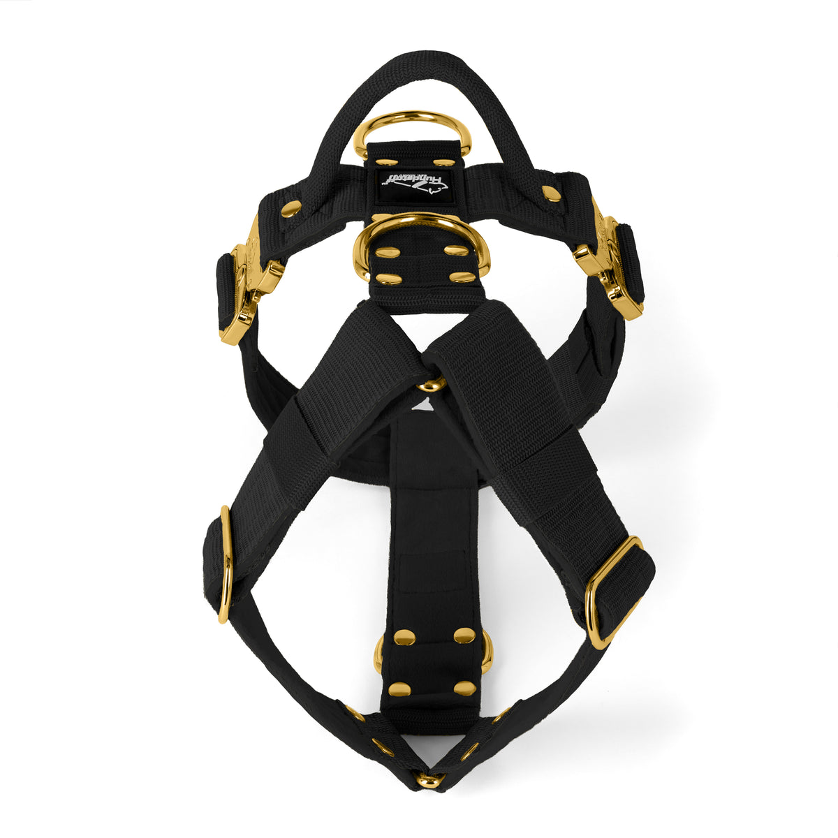 Easy Walk Extreme Gold Buckle Black - Harness with quick buckle