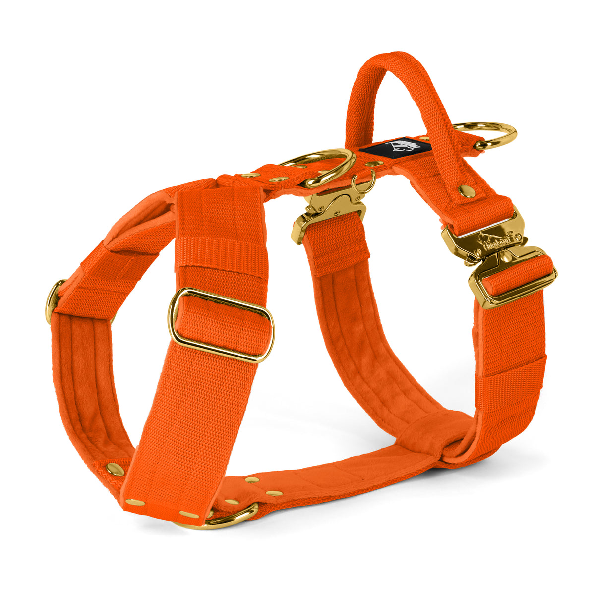 Easy Walk Extreme Gold Buckle Plum - Imbracatura con fibbia a sgancio rapido