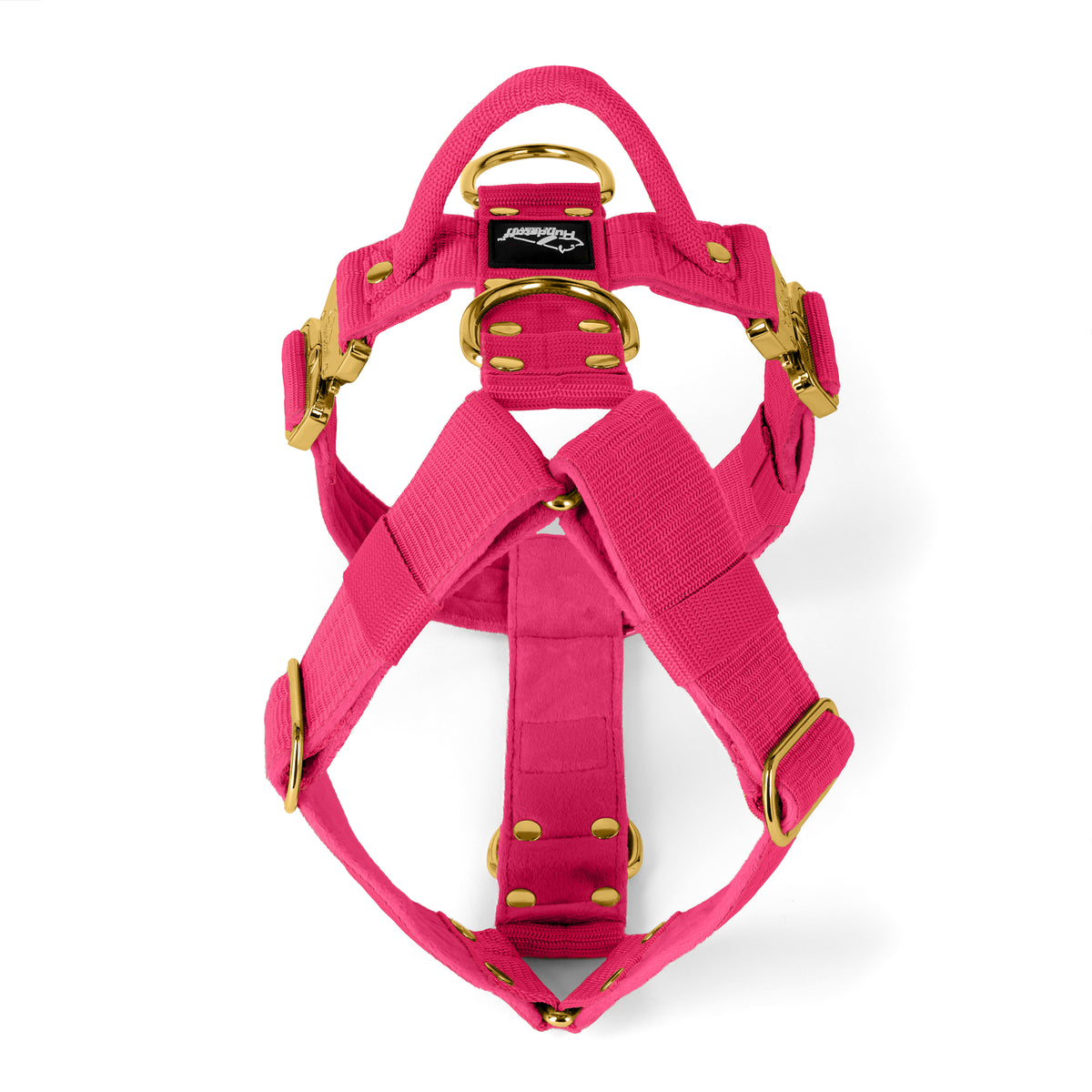 Easy Walk Extreme Gold Buckle Plum - Imbracatura con fibbia a sgancio rapido