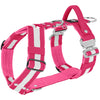 Easy Walk Extreme Safe Pink - Arnés con reflector y hebilla de liberación rápida