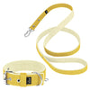 Active Set Baby Amarillo - Collar y correa activos