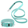Active Set Mint - Collar y correa Active