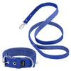 Active Set Azul - Collar y correa Active