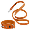 Active Set Naranja - Collar y correa Active